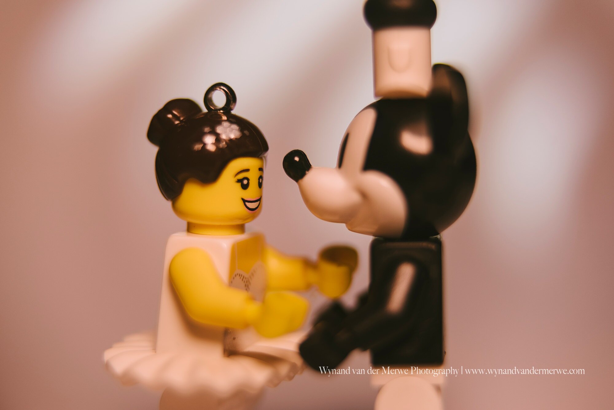 Wynandvandermerwe covid19 lockdown lego married-35.jpg