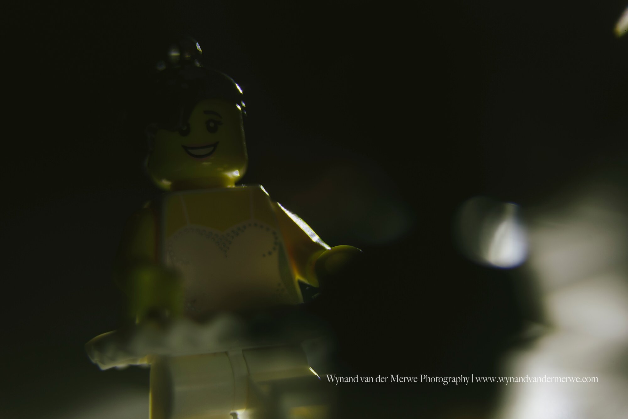 Wynandvandermerwe covid19 lockdown lego married-39.jpg