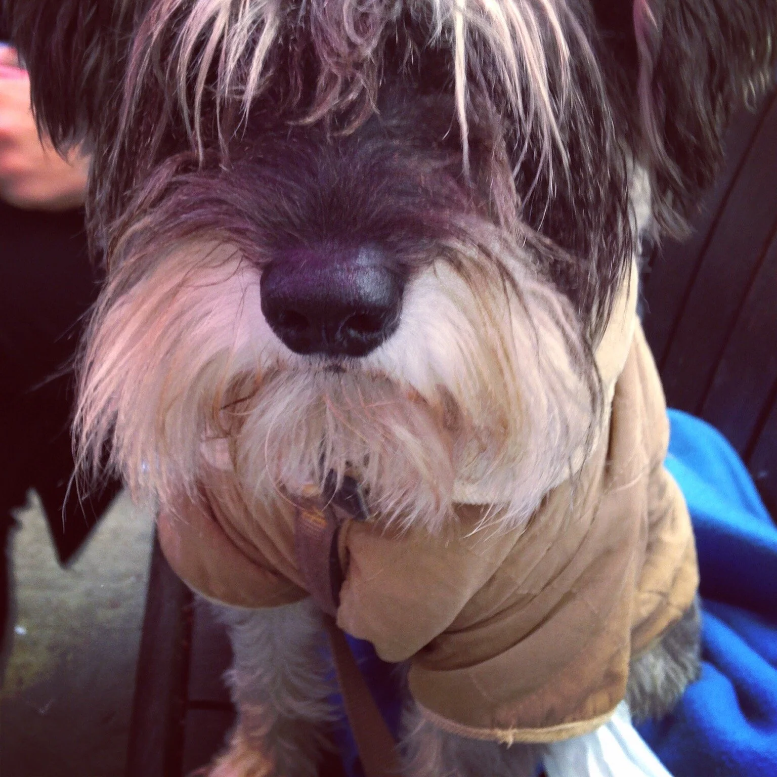 Richmond Duck Pond Market 