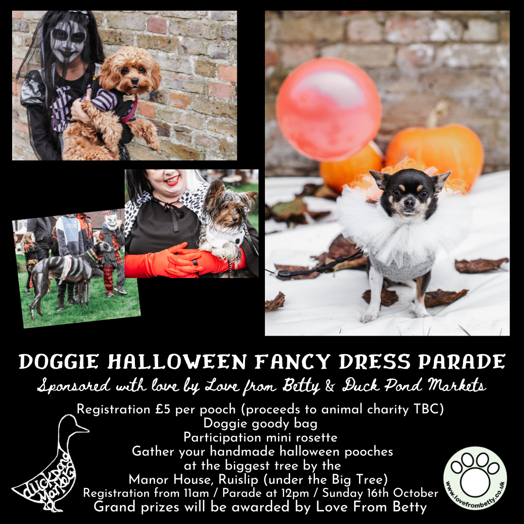 Ruislip Duck Pond Halloween Fancy Dress Dog Parade! 