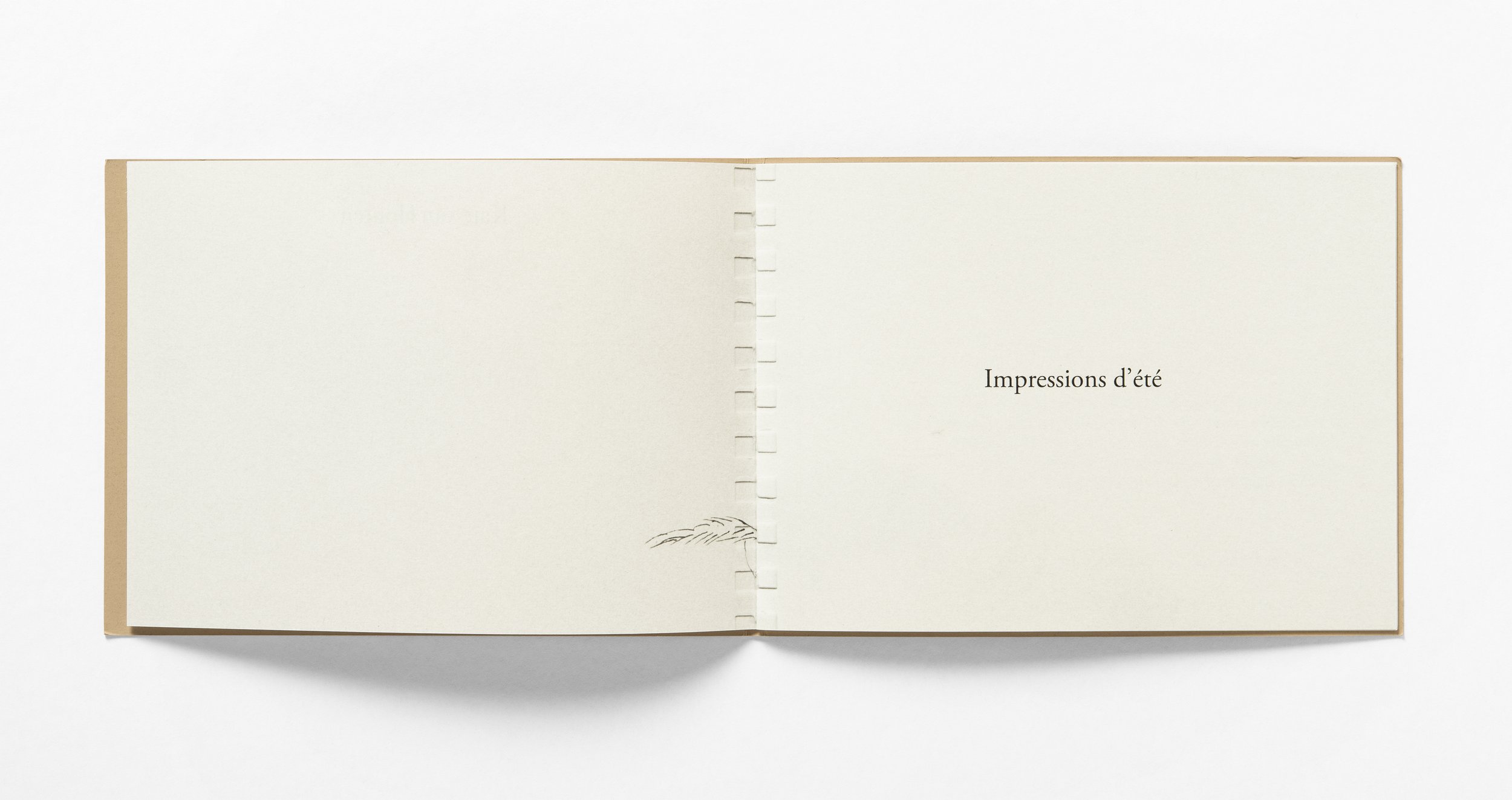 impressions_d_ete_2.jpg