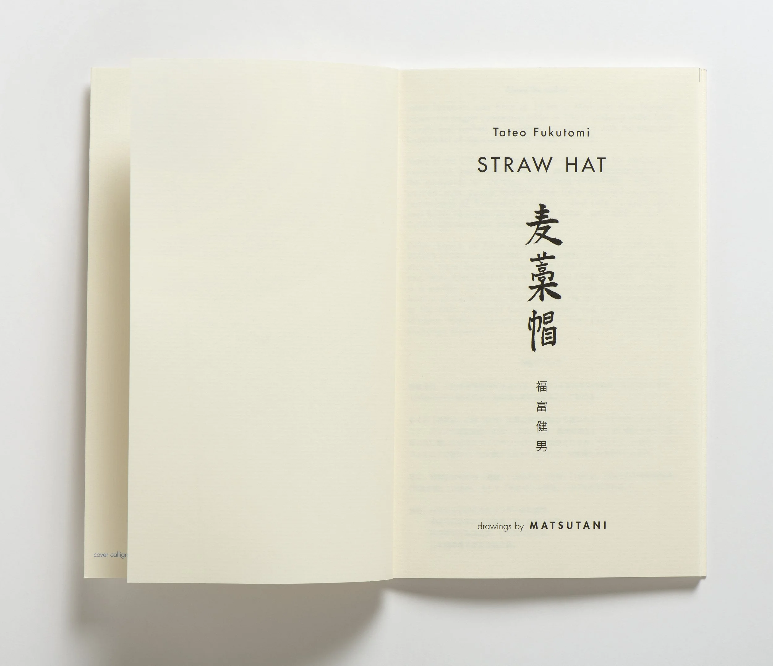 straw_hat_2.jpg