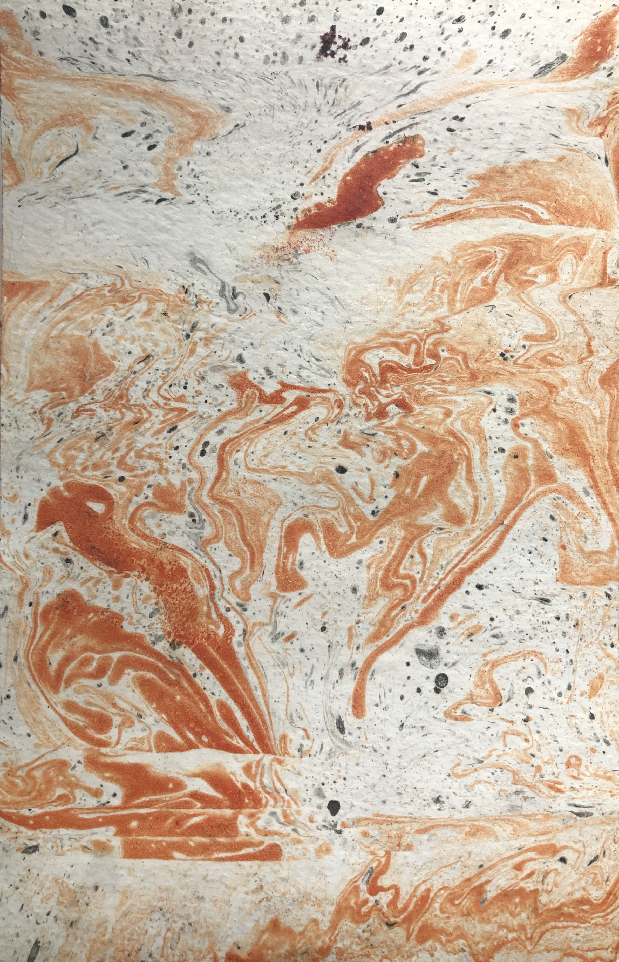 Marbled Orange