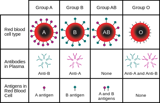 blood-group.jpg