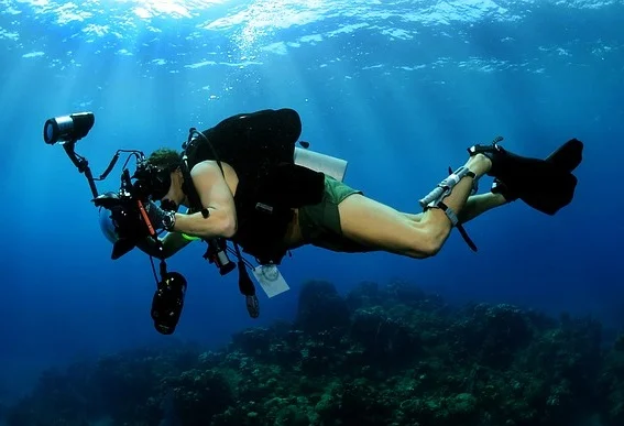 underwater-photographer-618978_640.jpg