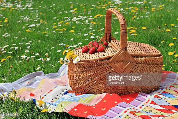 Childrens Picnic in the Park