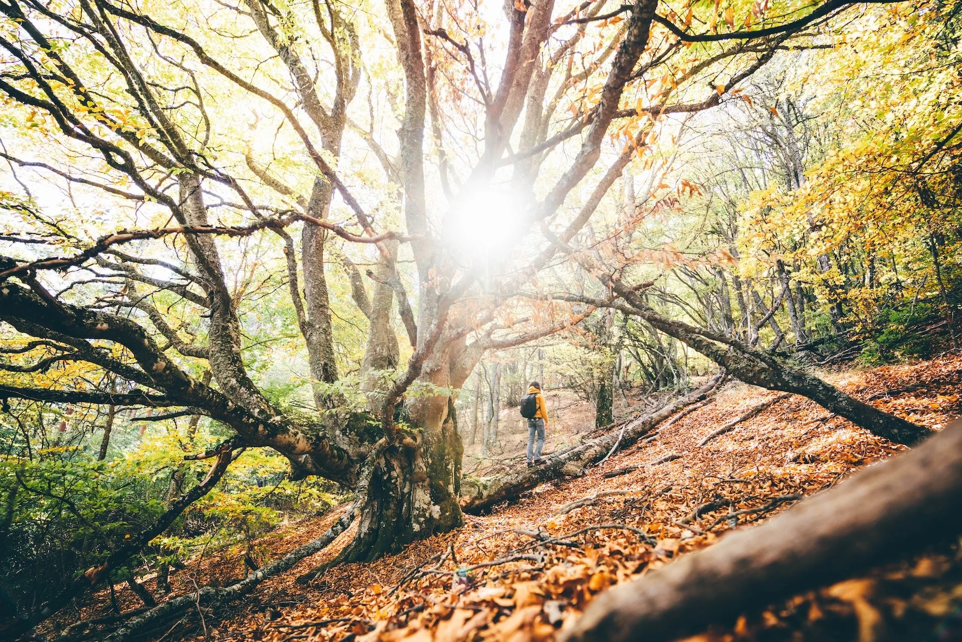 Cuando la vida es difícil