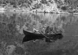 Folketal, busetnad og næringsvegar langs Nærøyfjorden