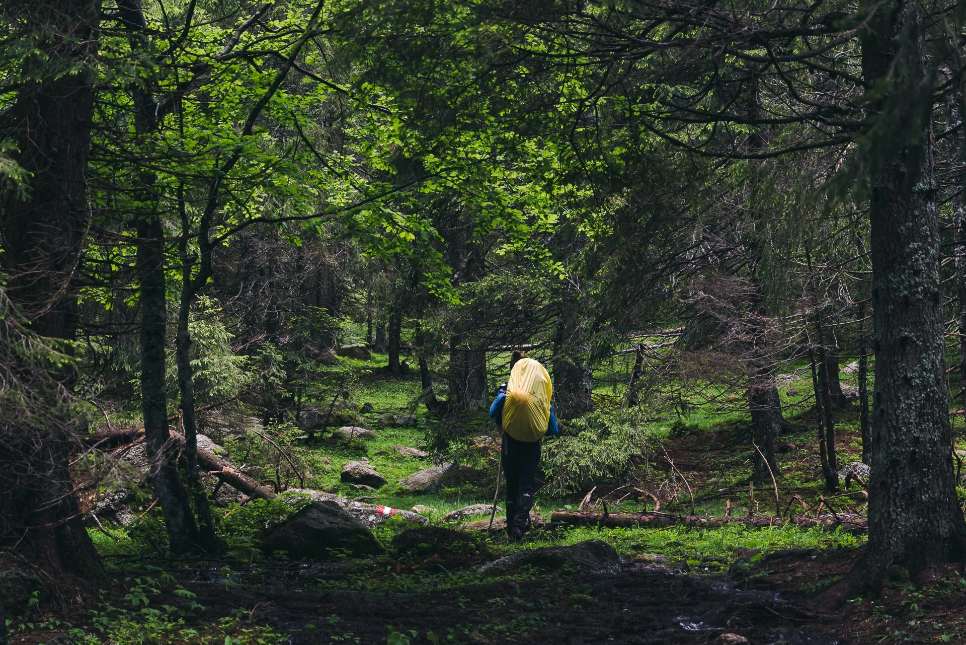 Il Cammino come Terapia