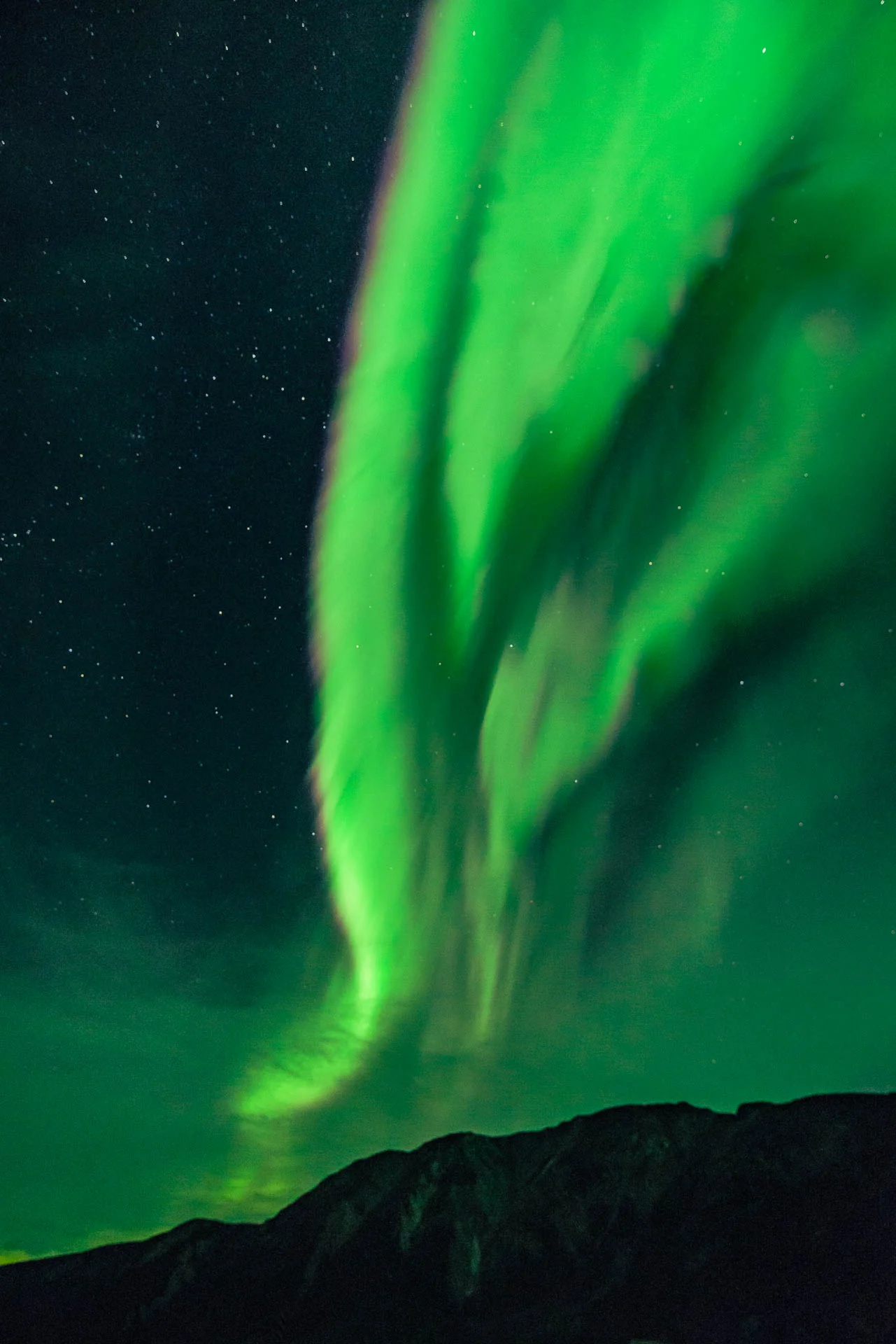 Aurora_diario_13_WEB.jpg