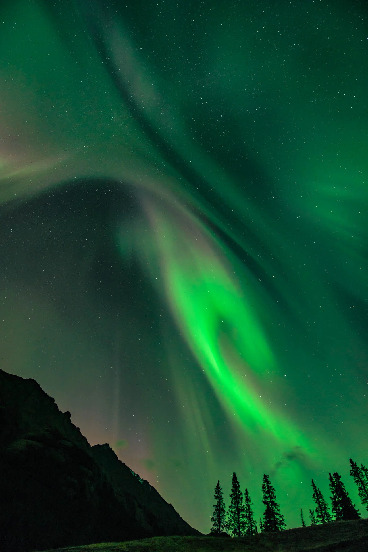 Aurora_diario_12_WEB.jpg