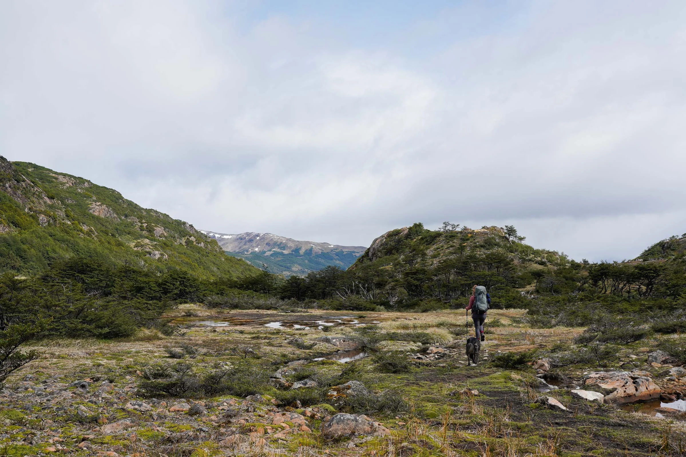 Dientes de Navarino_Web_65.jpg