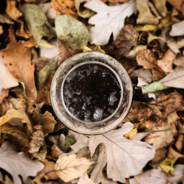 🍺↟🚴🏼↟⛺️ (@jeffvondenkamp) • Instagram photos and videos - Google Chrome 10202016 43921 PM.bmp.jpg