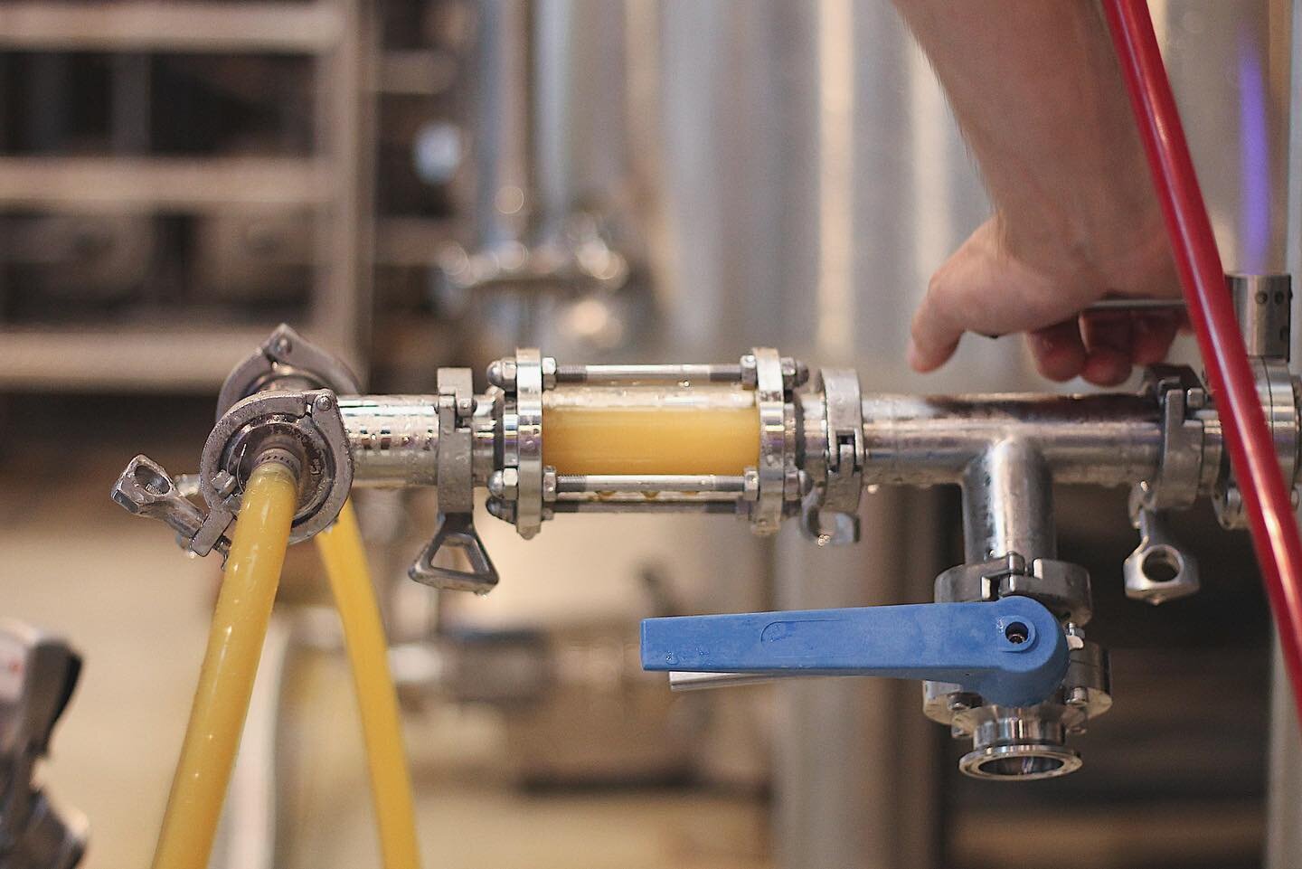 Tomorrow is a big day. We&rsquo;re shooting for four new releases, including this that we just kegged and are calling Northyk (7%). In this Kveik Hazy IPA, we used a Norwegian yeast strain that was fermented at 96 degrees, releasing huge esters of pi