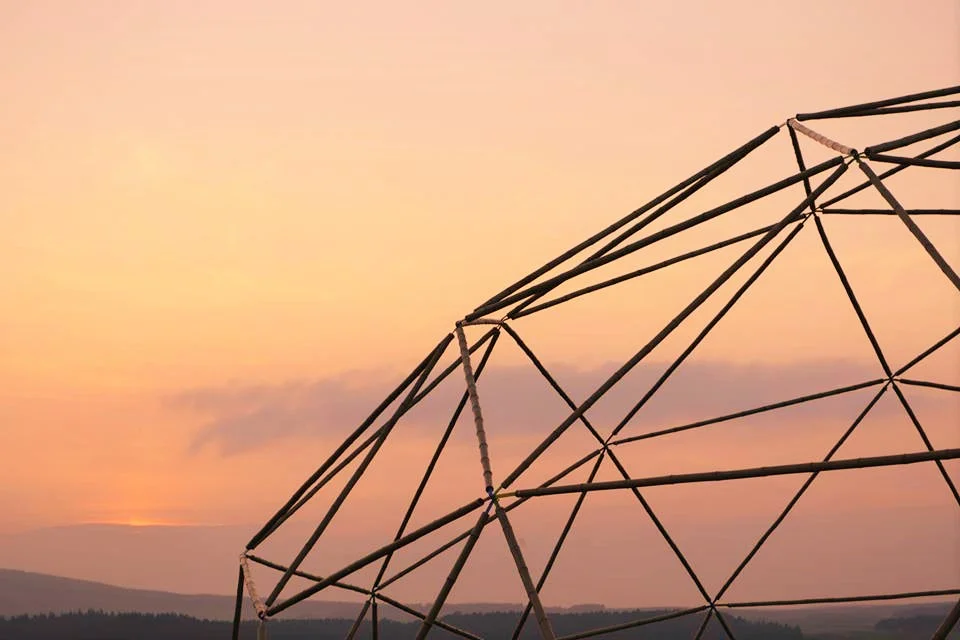 bamboo geodome frame.jpg