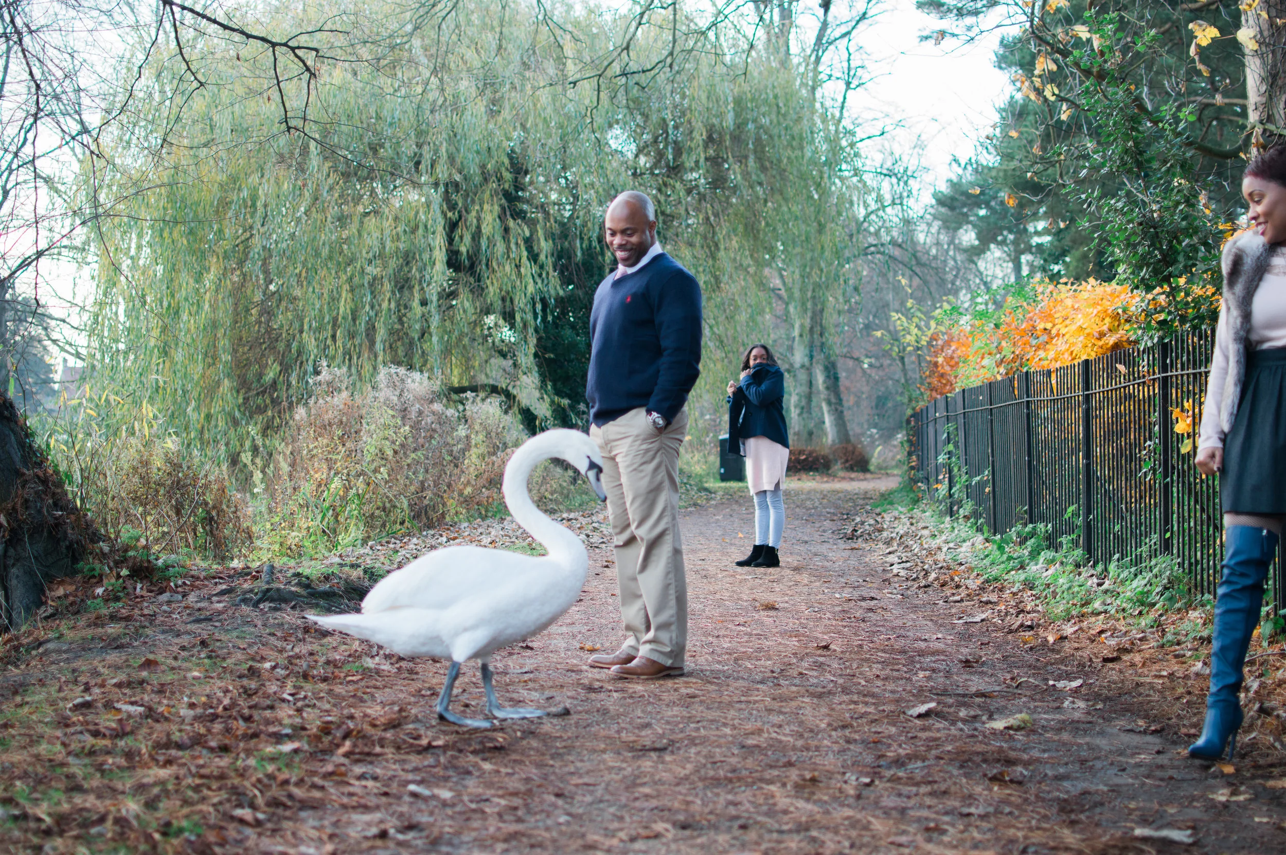 I mean this swan was HUUUGE.