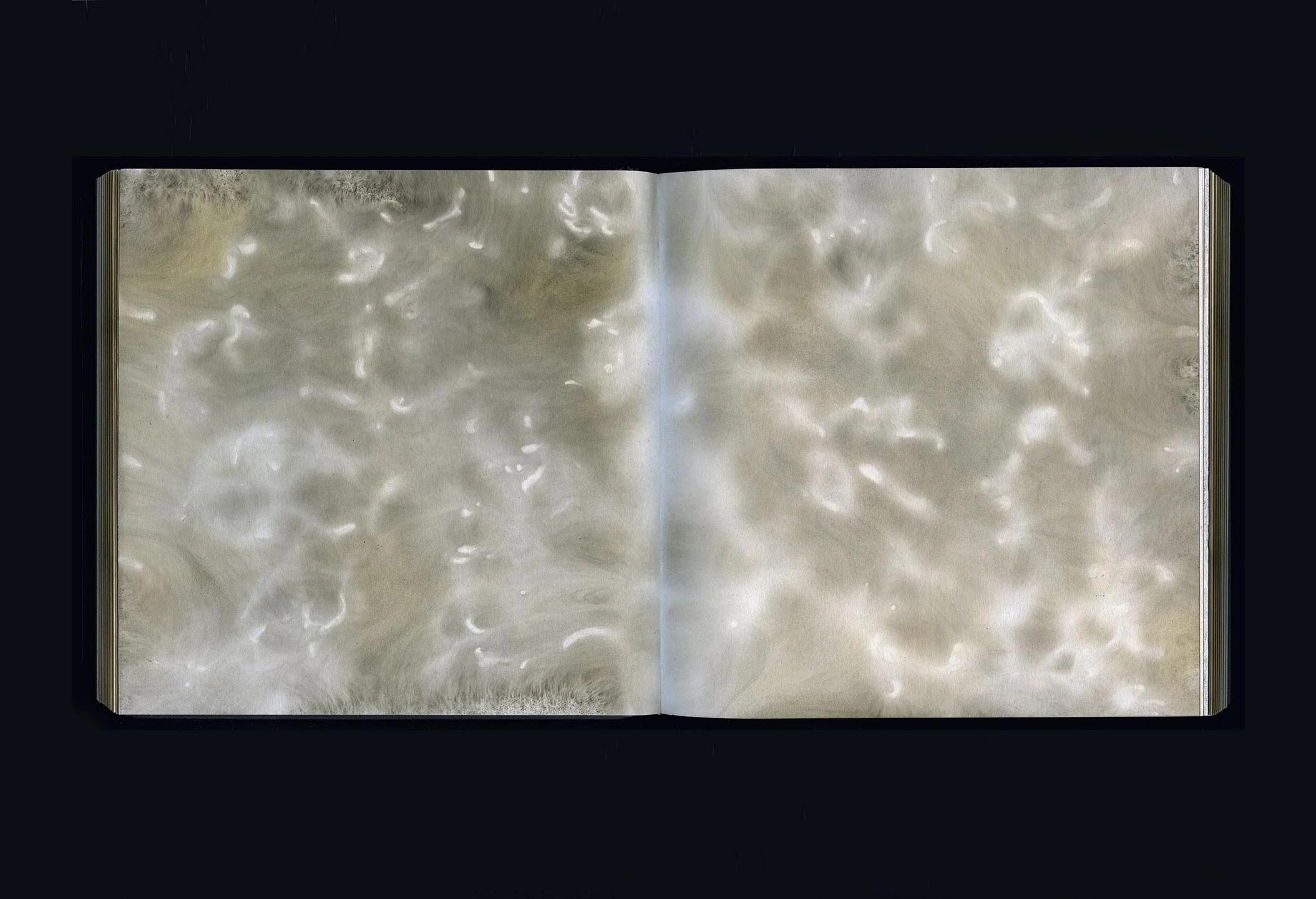 CARBON 2007–17 carbon deposit on bound paper, pp. 43, 44 20.0 x 40.0 cm