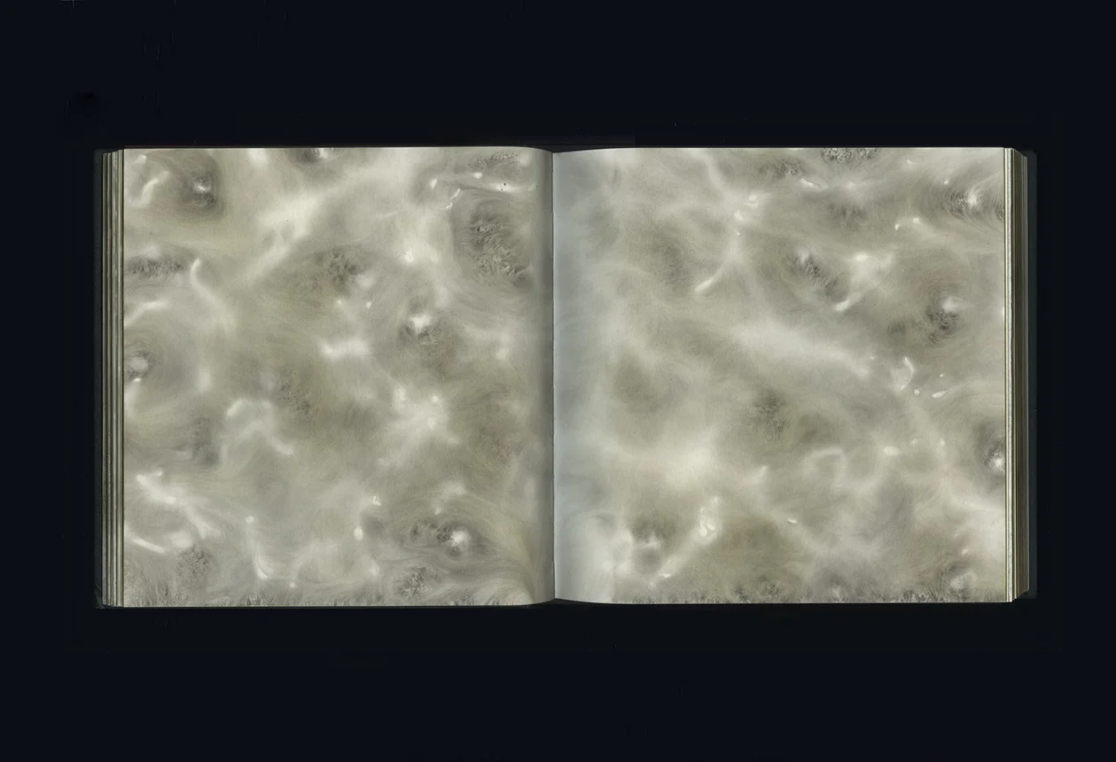CARBON 2007–17 carbon deposit on bound paper, pp. 41-42 20.0 x 40.0 cm
