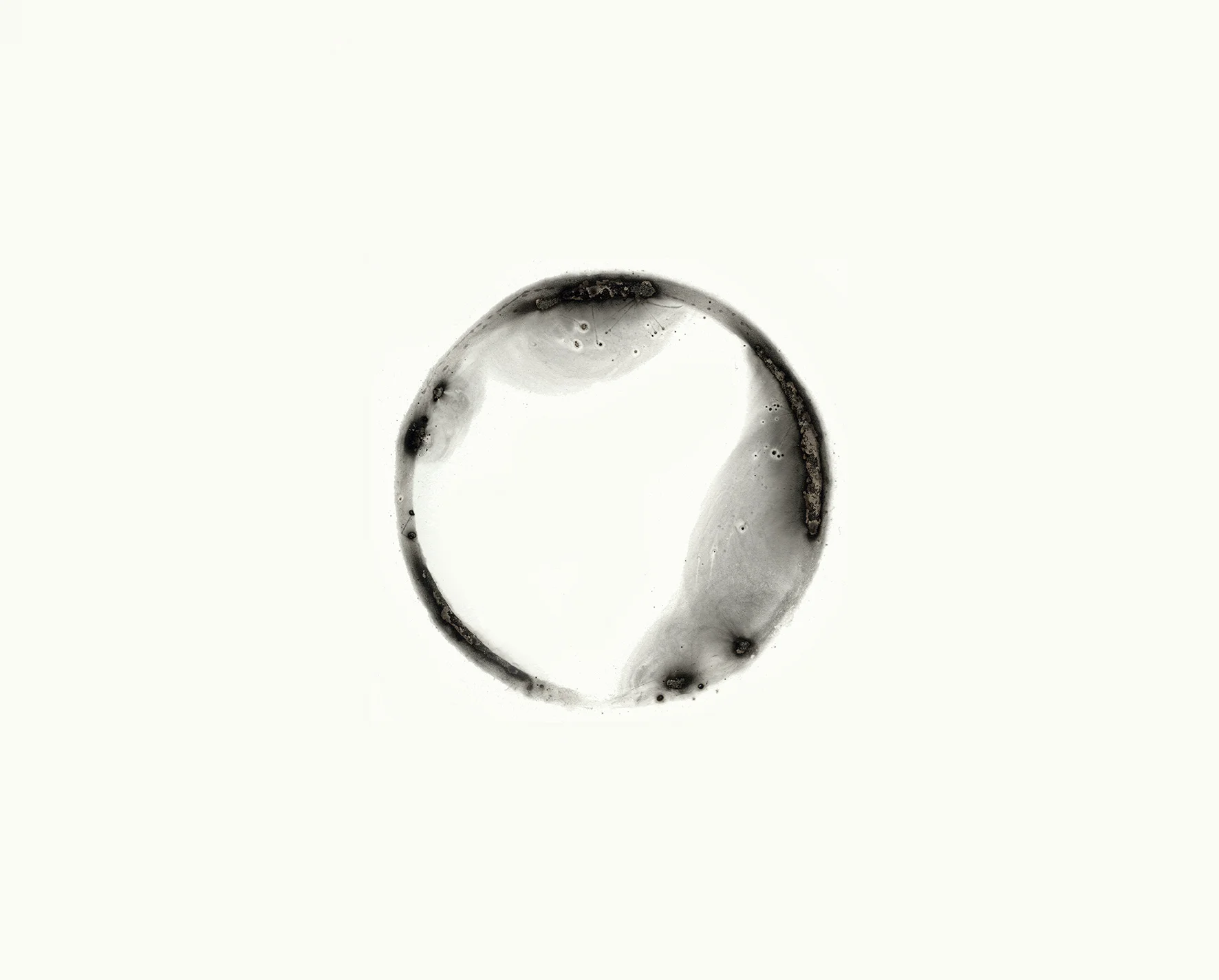 6000º (III) 2006 six thousand degrees on cotton fibre housed within archival Solander case 43.0 x 52.4 x 7.3 cm
