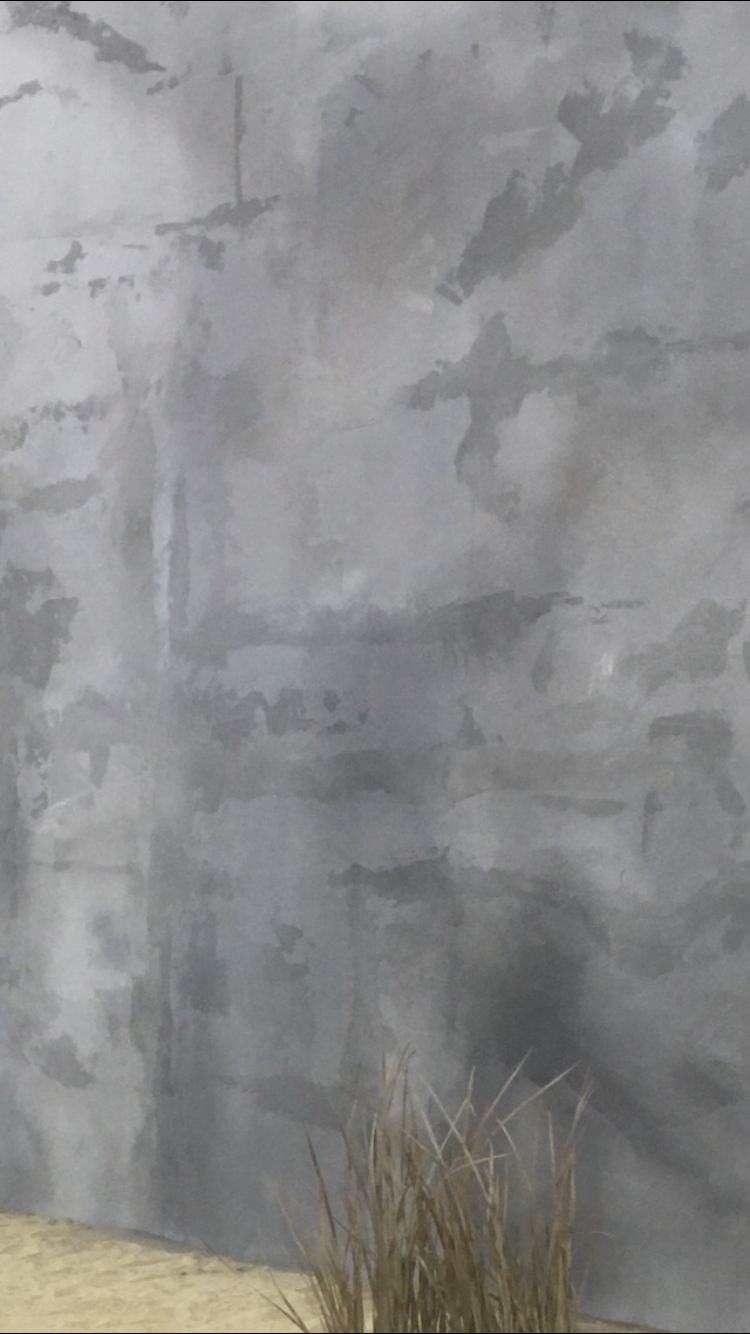 IMG_7345.PNG
