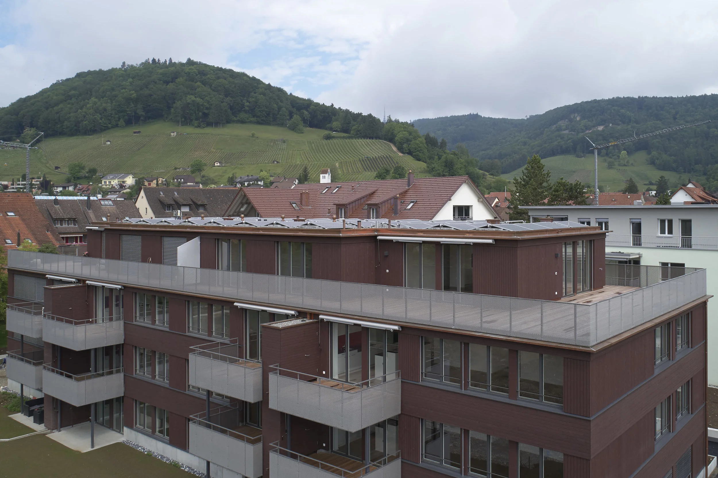 Balkon_streckmetall_gitter.jpg