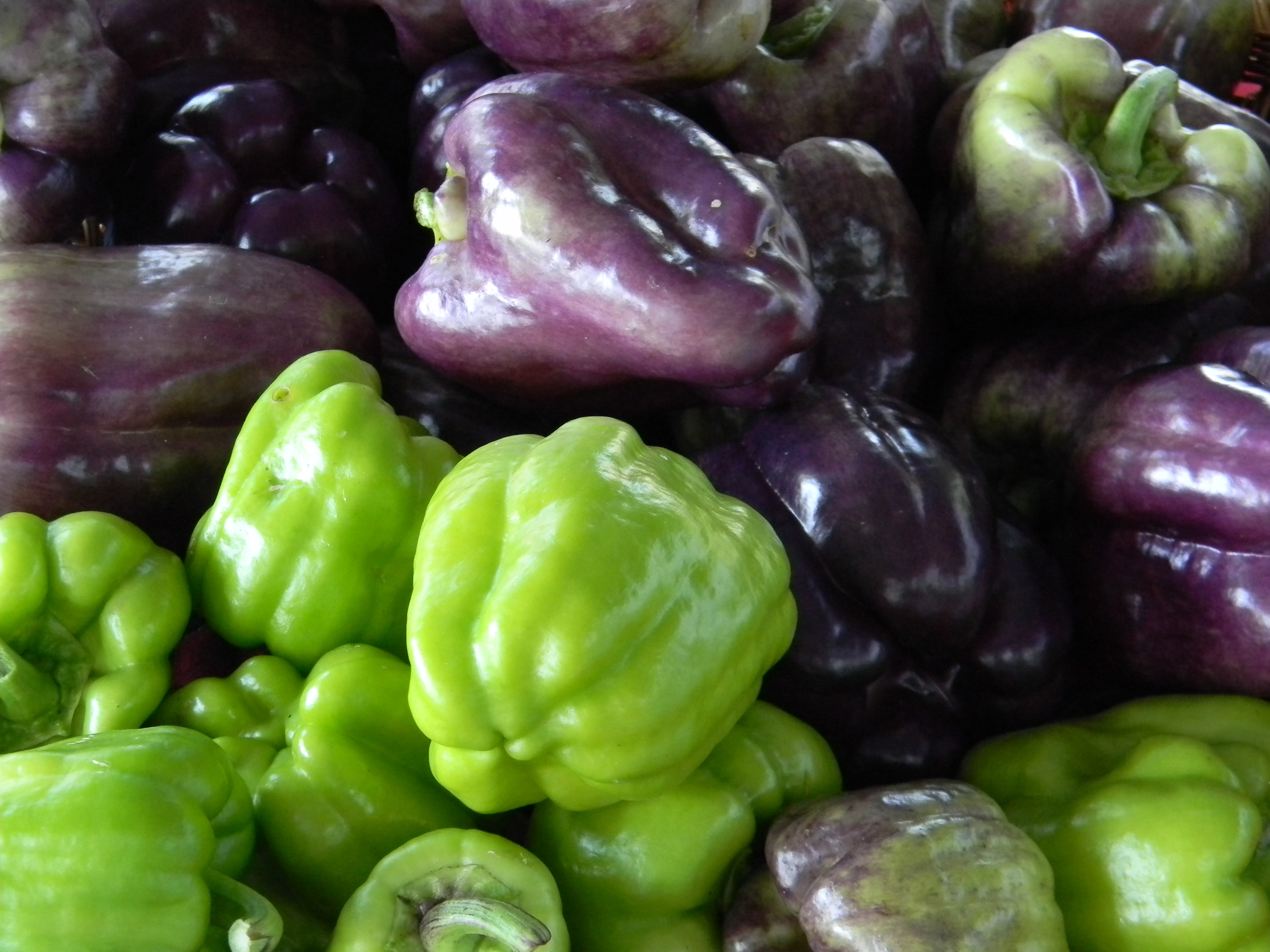 Saturday Market