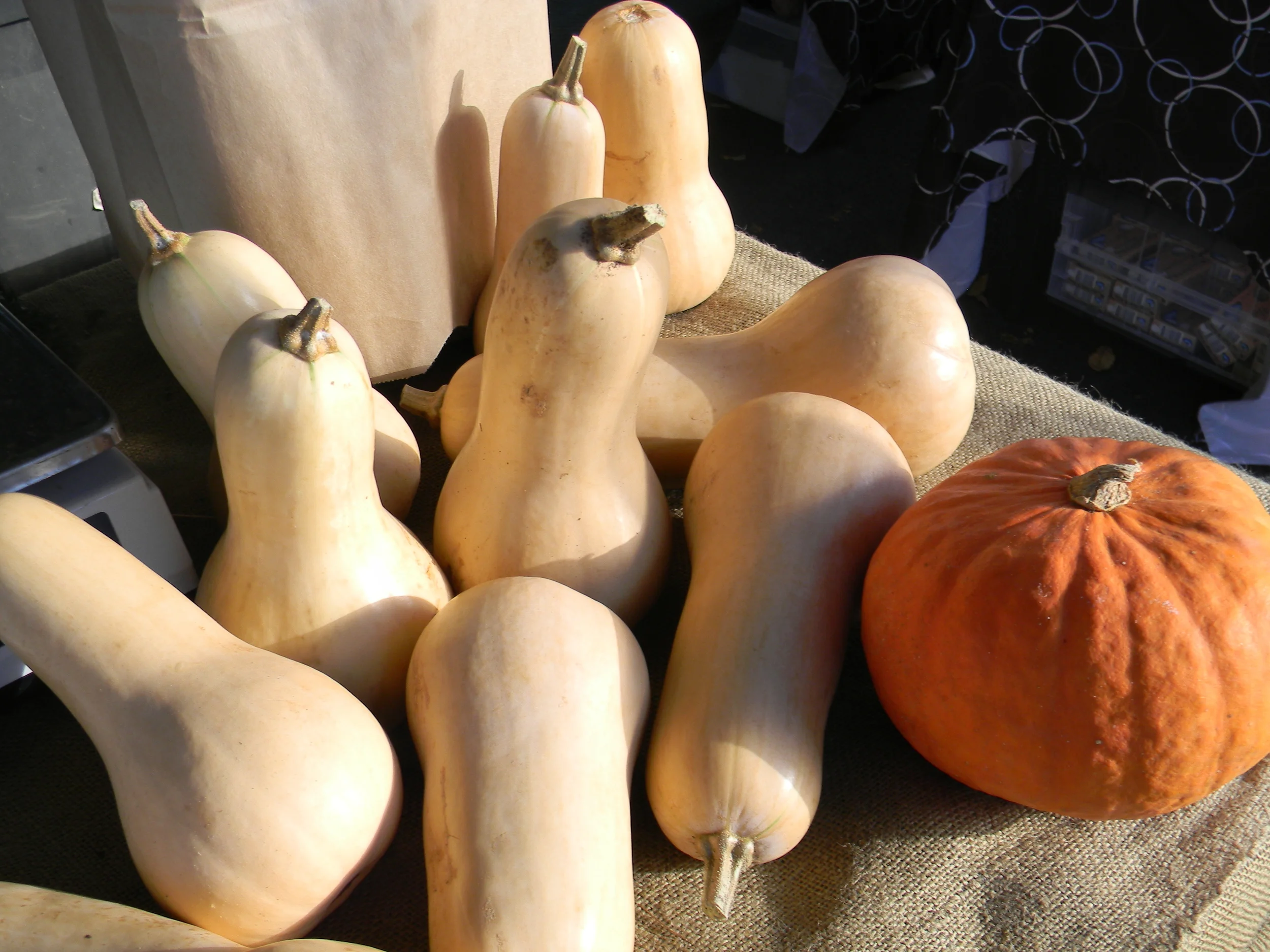 Wednesday Market