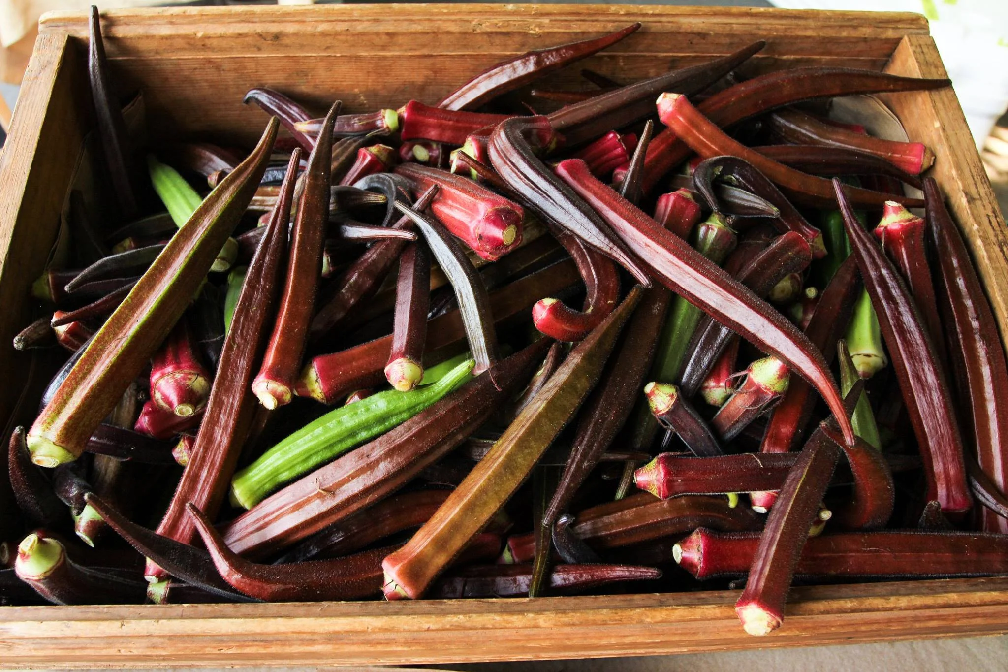 Okra.jpg