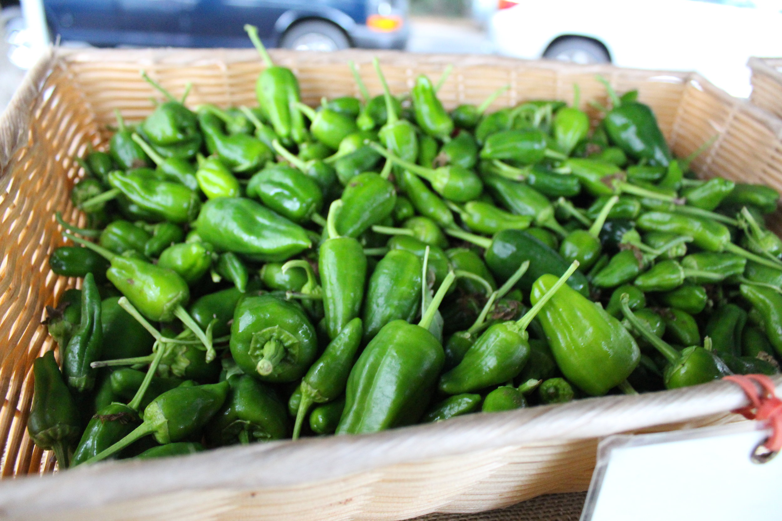 Wednesday Market