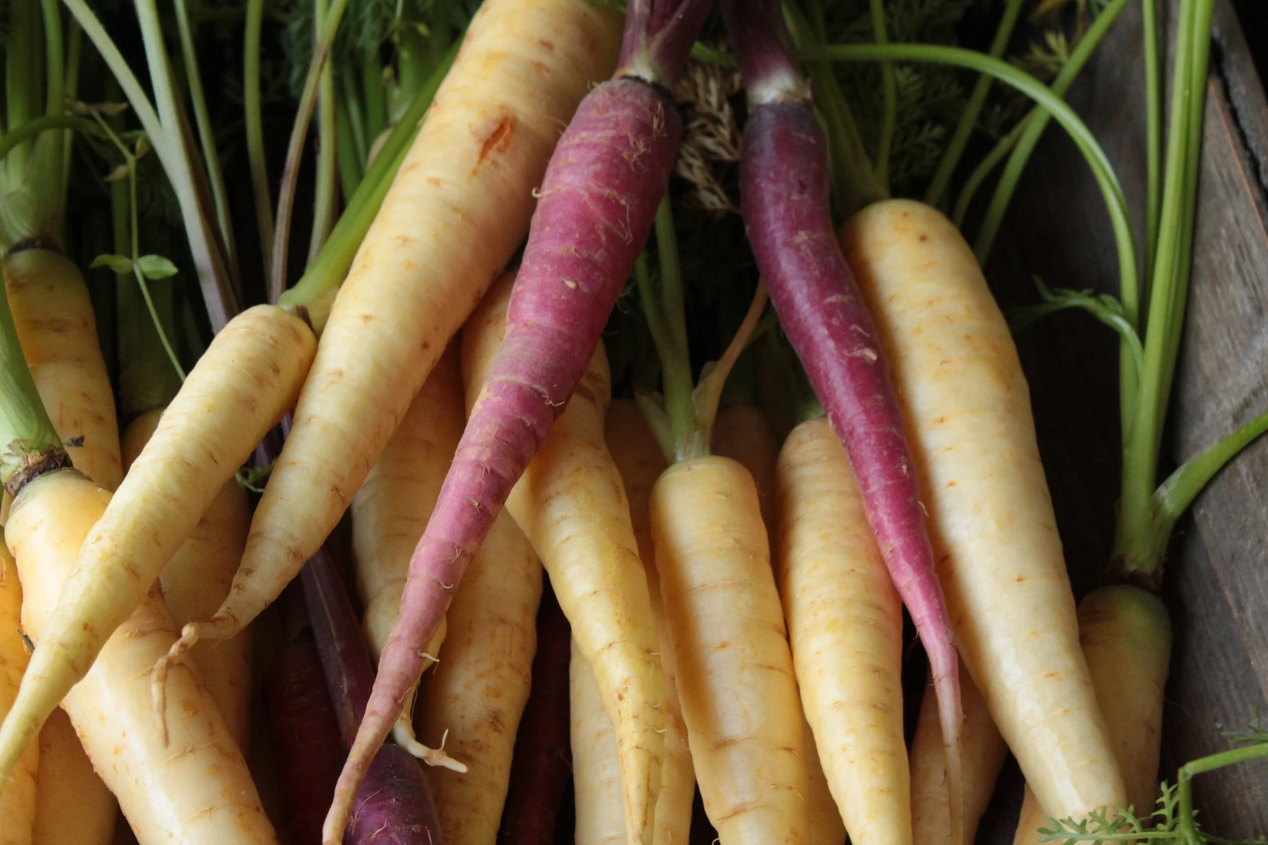 Market Birthday and Country Financial Bag Release