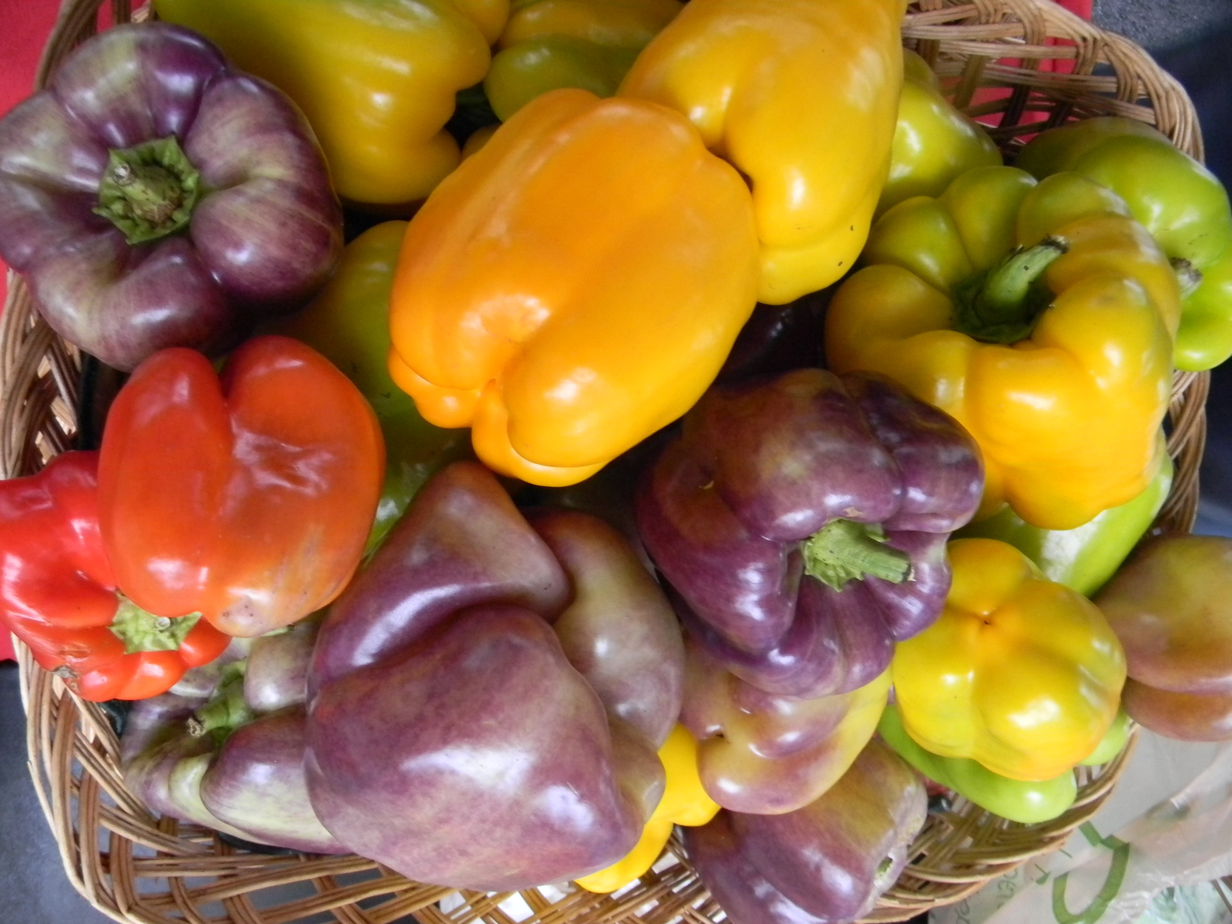 Saturday Market