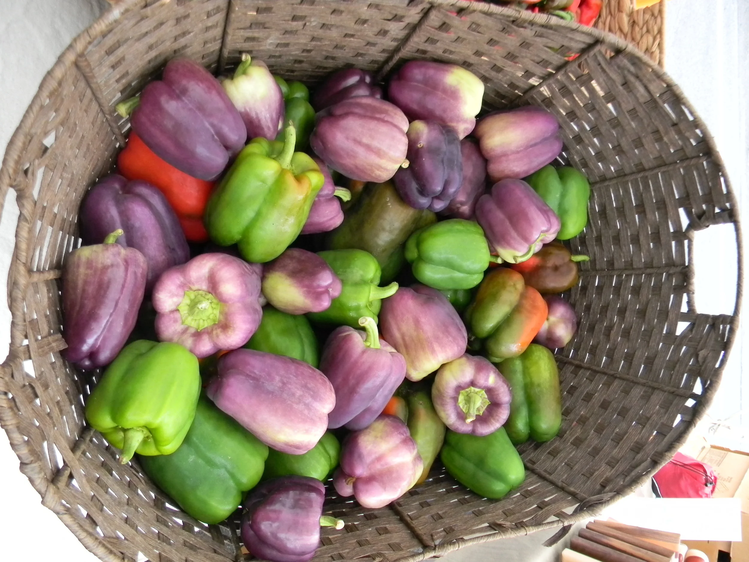 Wednesday Market