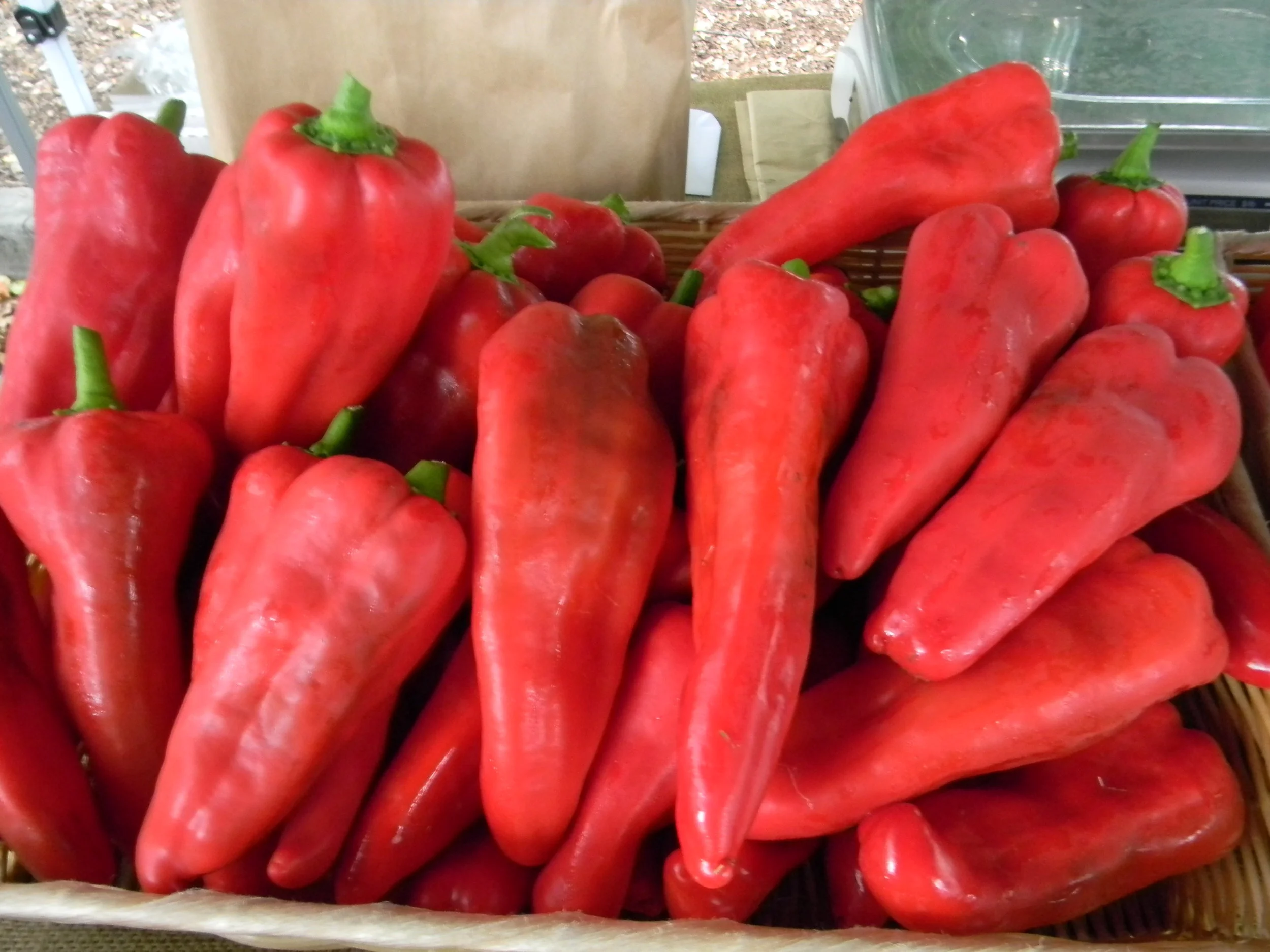 Saturday Market