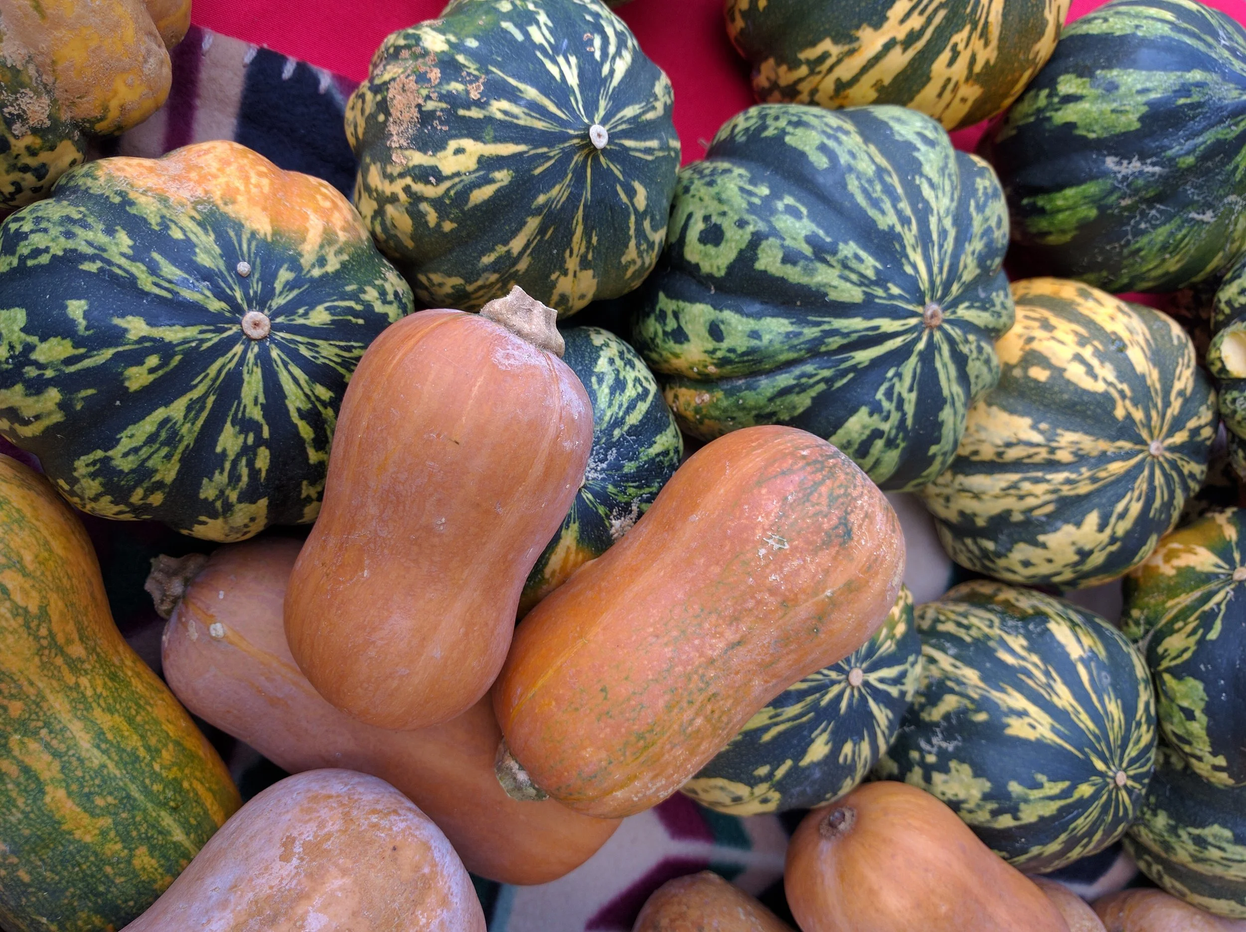 Wednesday Market