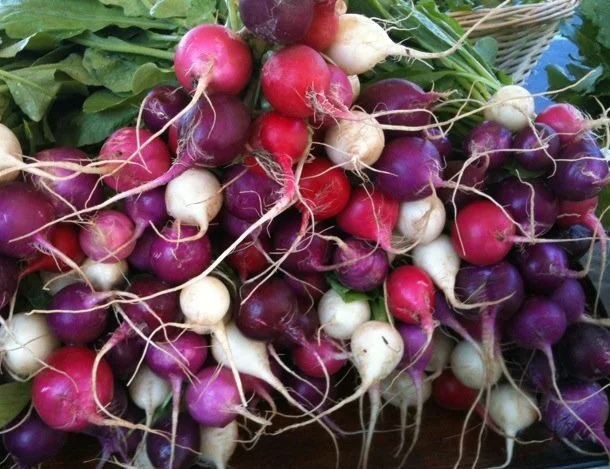Weekly Market