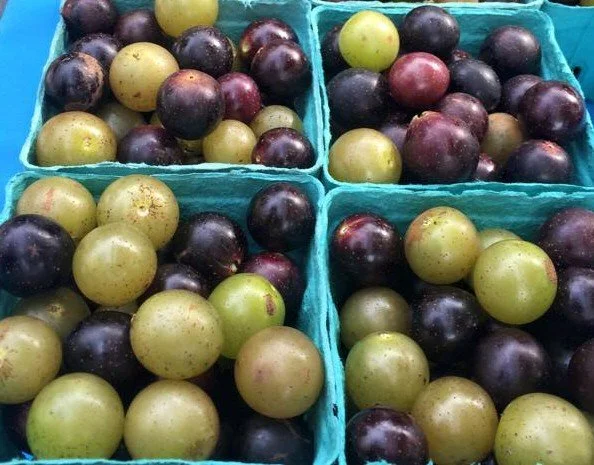 Weekly Market 