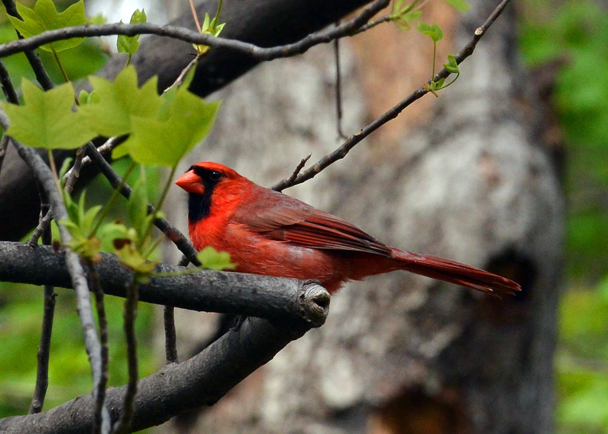 DSC_1395.jpg