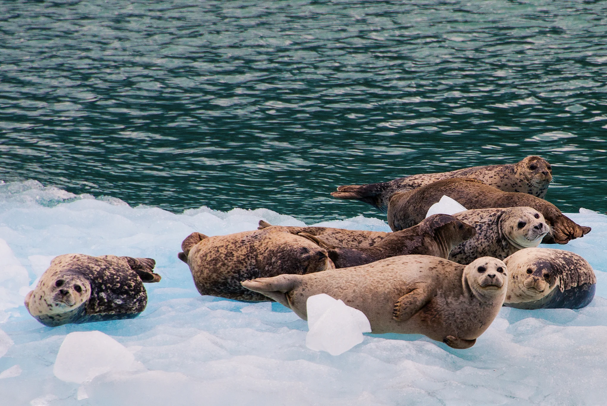 Alaska-33.jpg