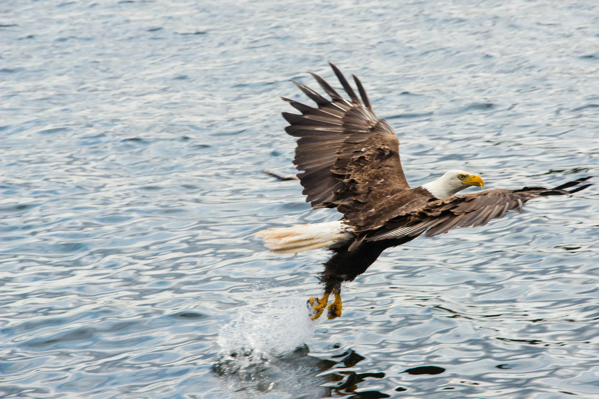 Alaska-86.jpg
