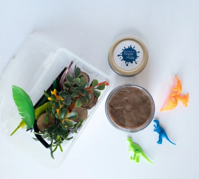 dinosaur_playdough_kit.jpg