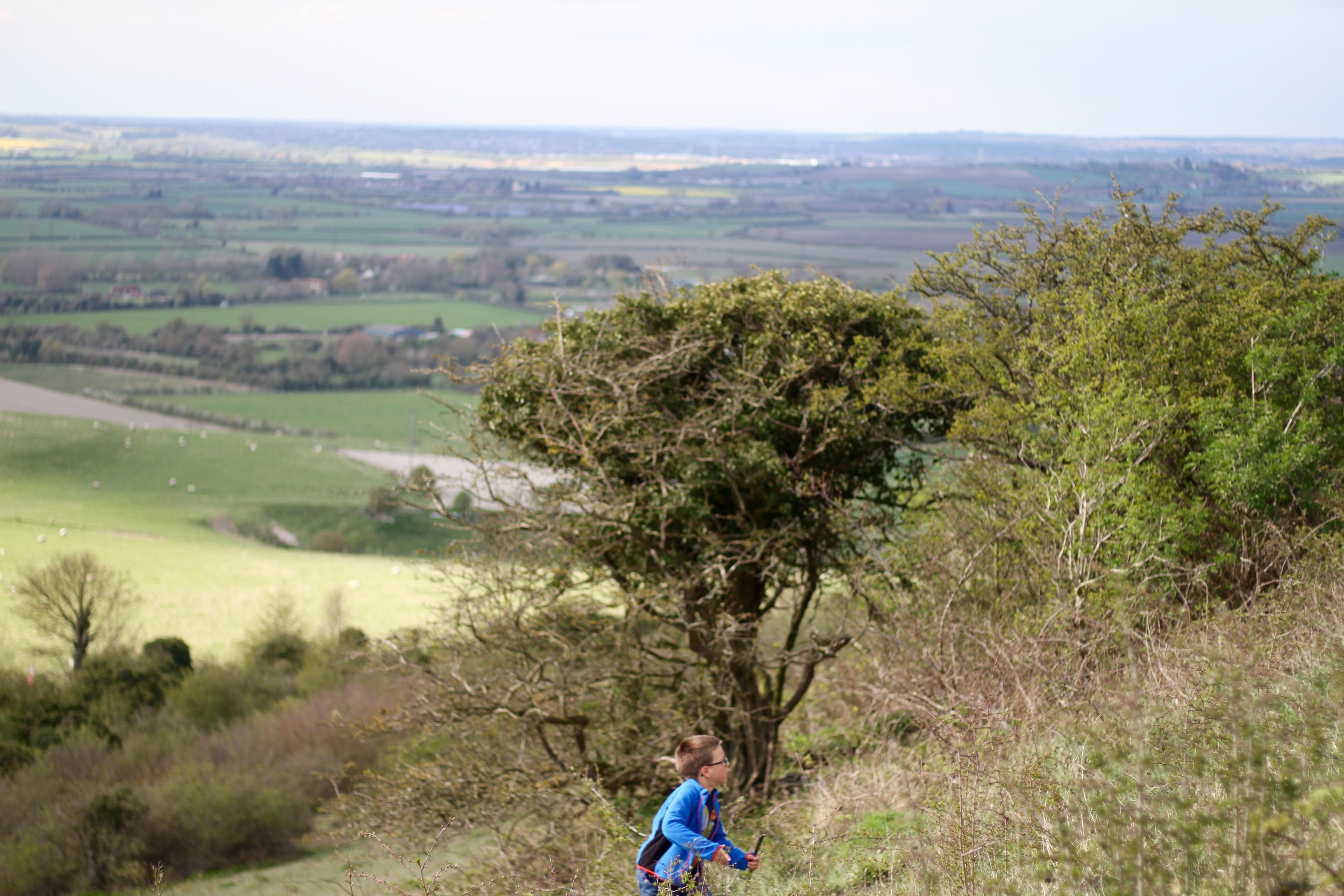 The Ascent