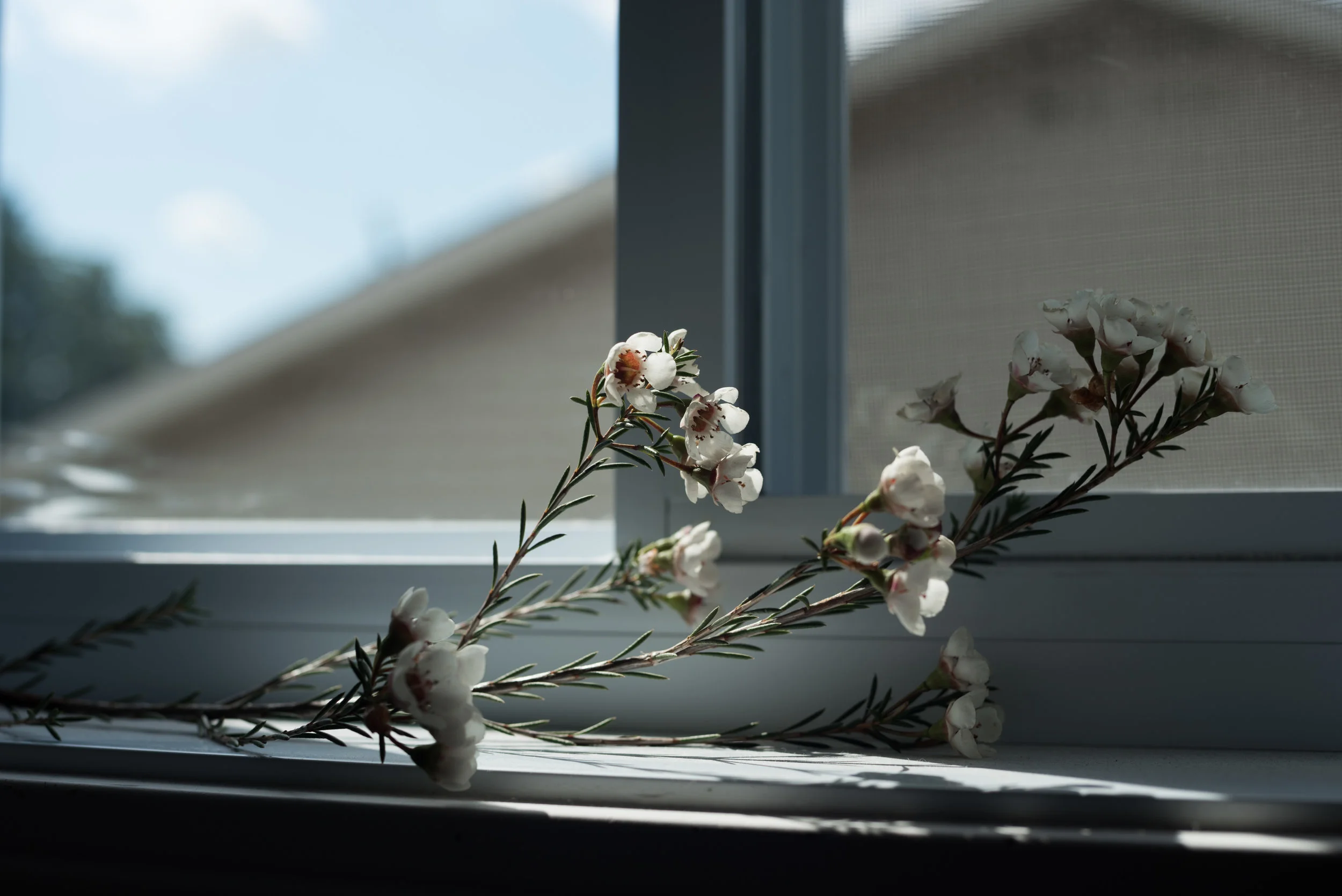 Fragments