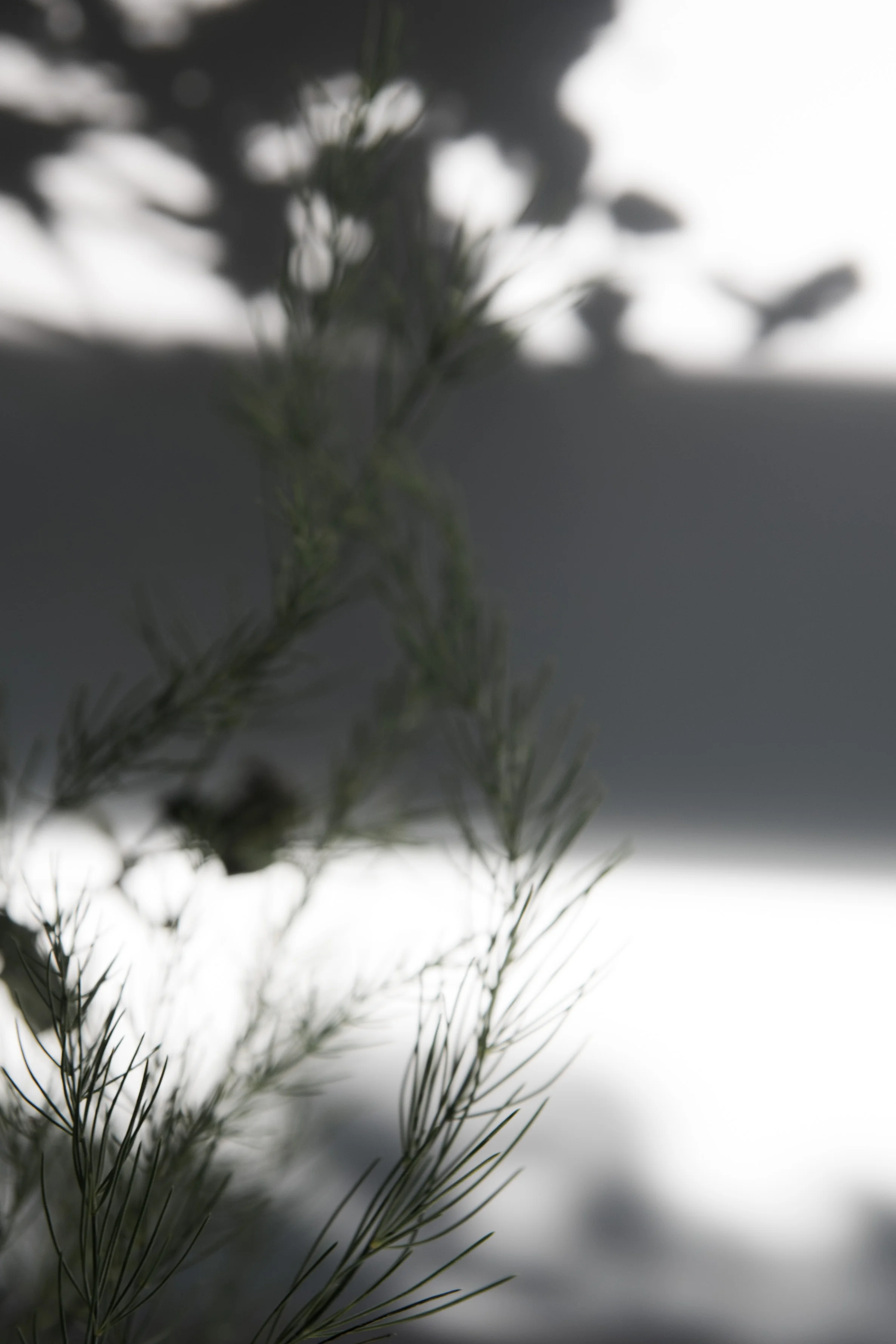 Fragments-Maquette-37.jpg