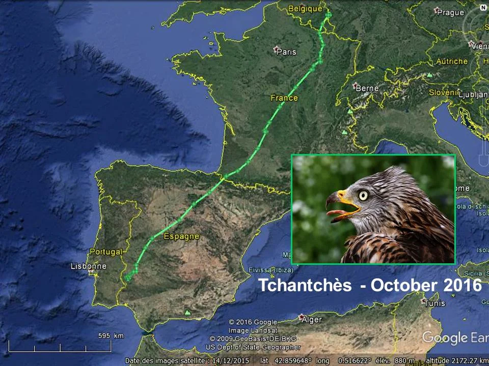 Trajet parcouru par Tchantchès, de Heppenback (B) à Barcarrota (E), en octobre 2016