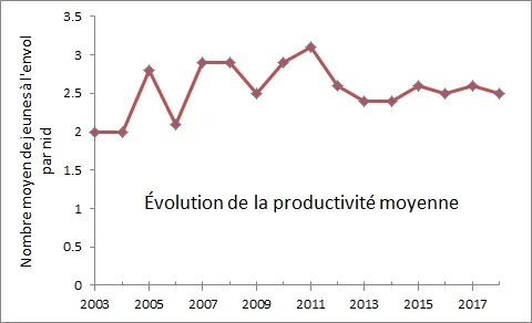 graphe_productivite_moyenne.jpg