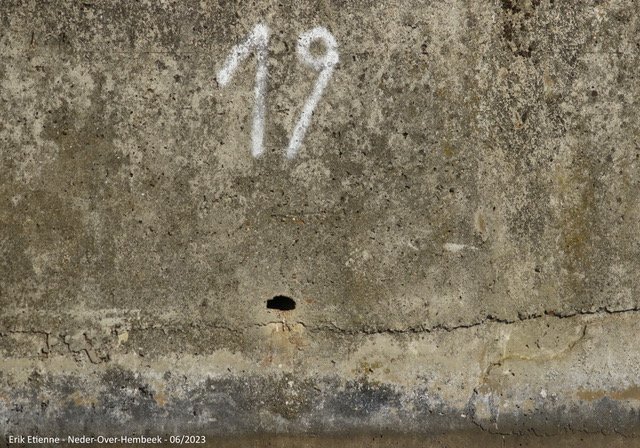 Numérotation des cavités potentielles sur les berges du Canal de Bruxelles, juin 2023 ©Erik Etienne