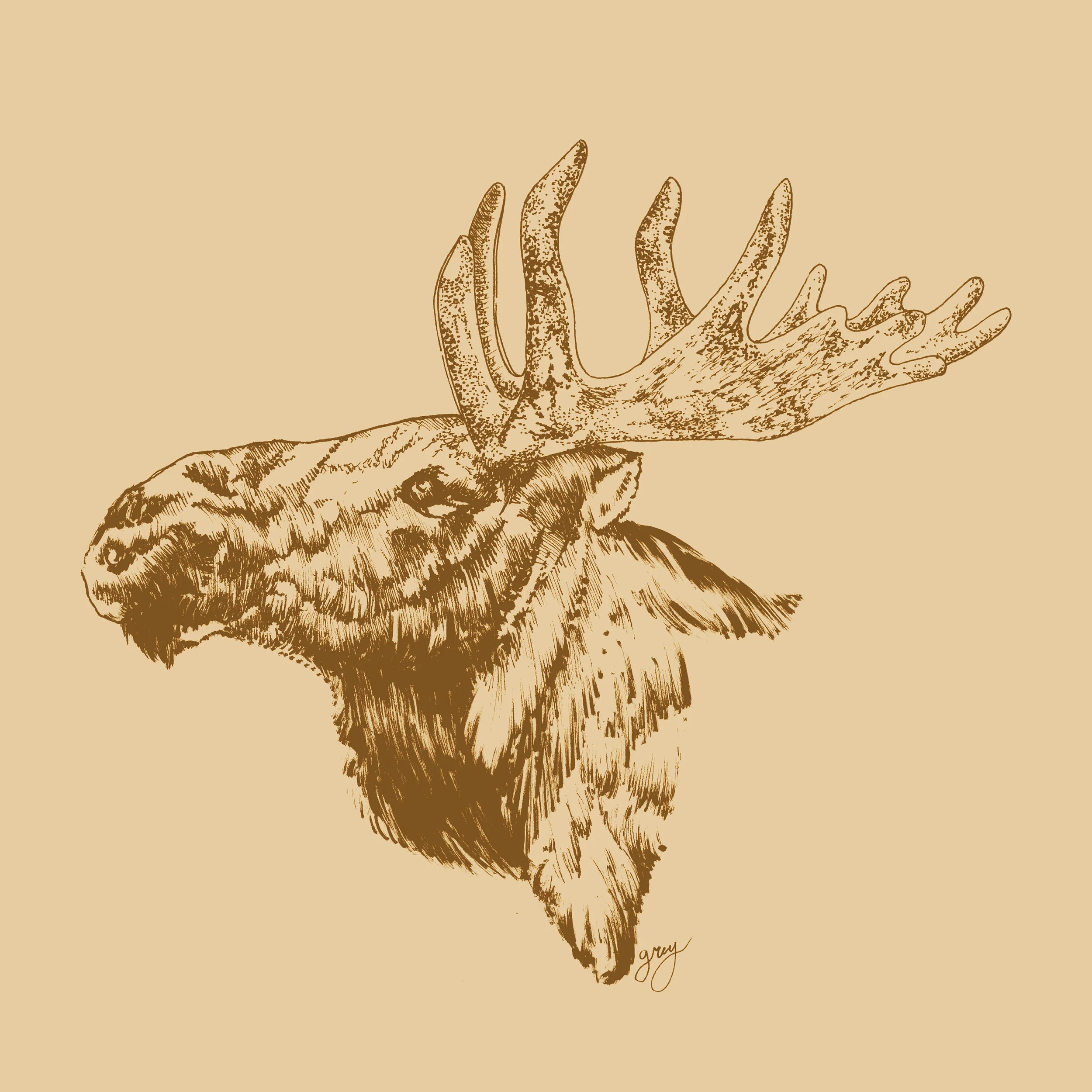 moose_ink_draw.jpg