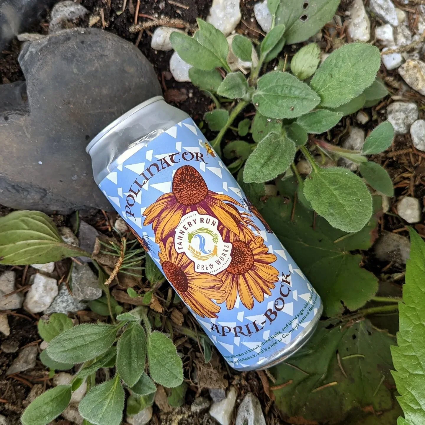 After some illustration hiatus to focus on my environmentally driven volunteer work, I'm back at the drawing table again with some fun can art! Myself and the other @amblereac members just had our Earth Fest yesterday and @tanneryrunbrewworks was awe