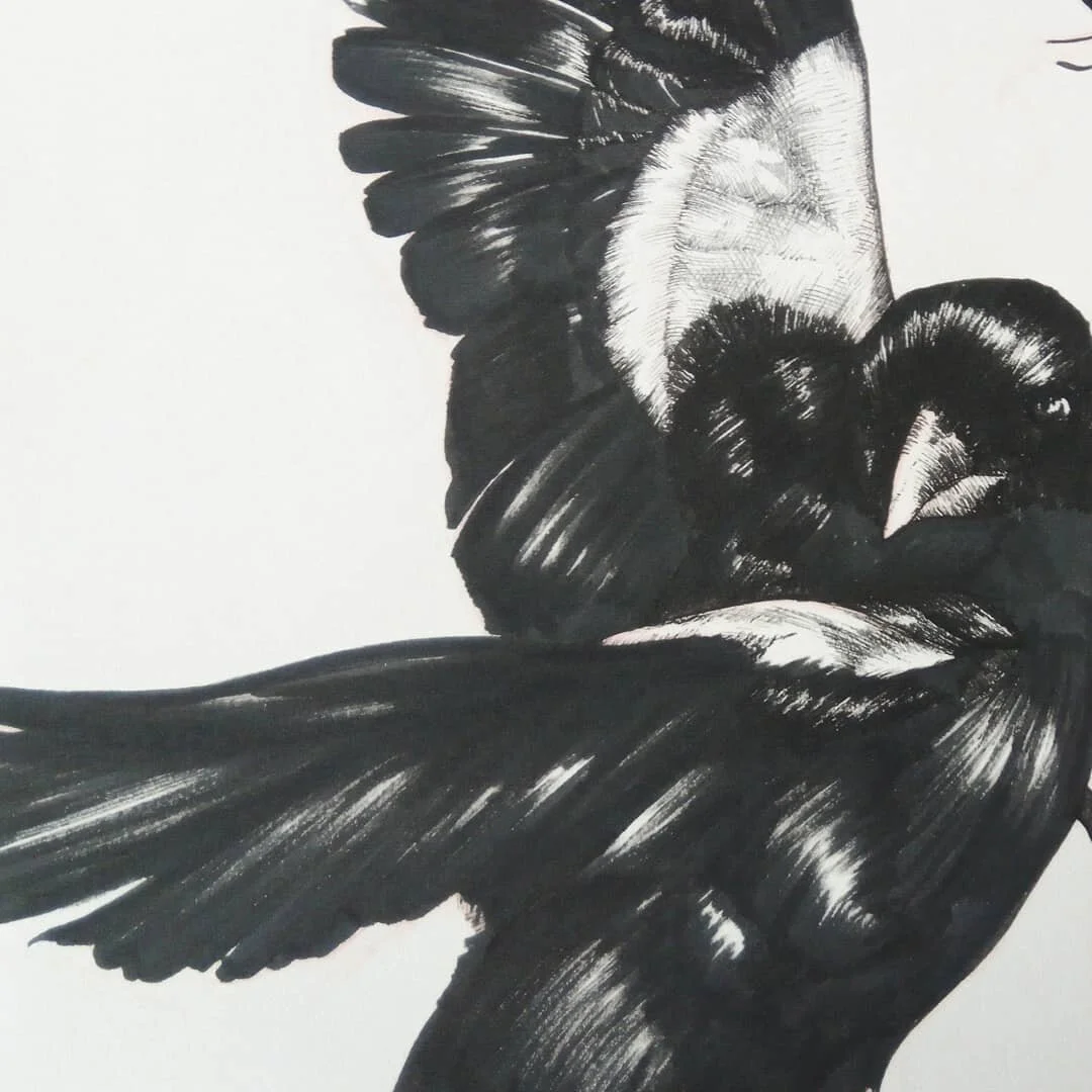 Inspired by the movement of birds... 🎼
#artwip #brushpen #illustration #penandink #natureillustration #birdillustration