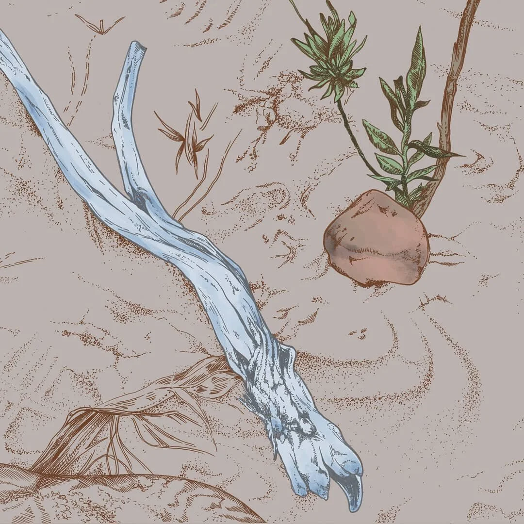 all those the little details
Why I love being outside 
#outdoors #hiking #backpacking 
#illustration #penandink #pendrawing #digitalart #natureillustration #sand #beach #coloradoriver